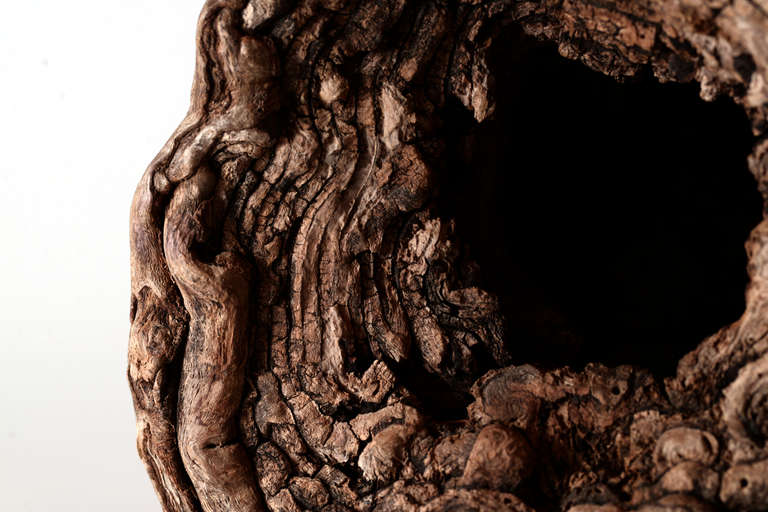 Biomorphic Burl Orb In Excellent Condition In Seattle, WA
