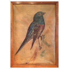 Blue Bird Painting