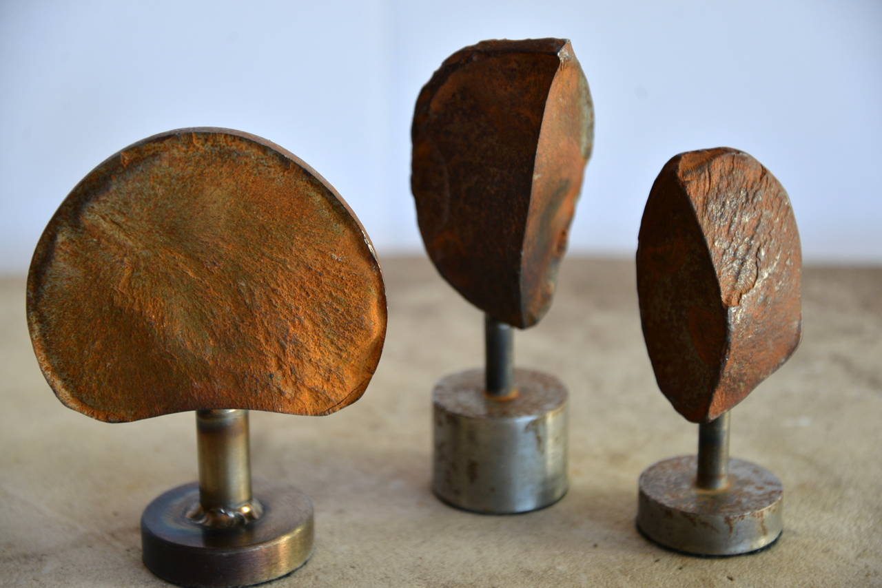 Breast Sculpture Set