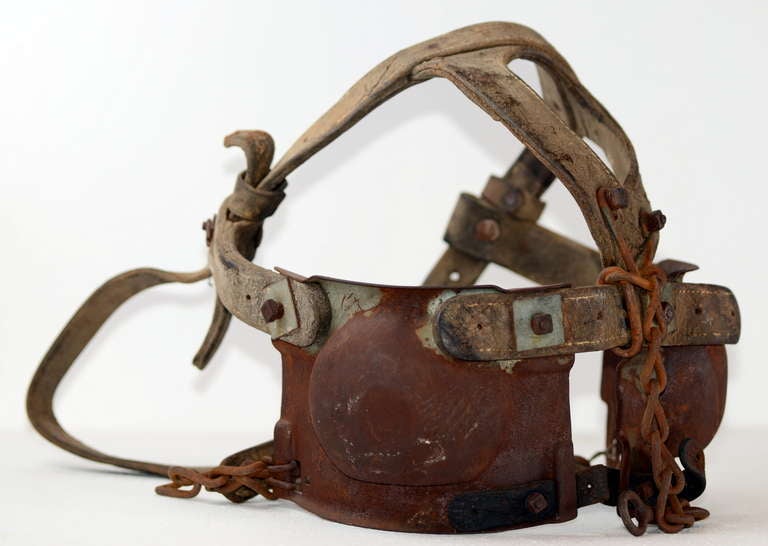 Old hand-tooled leather workhorse blinders with steel eye covers and rusty chain.