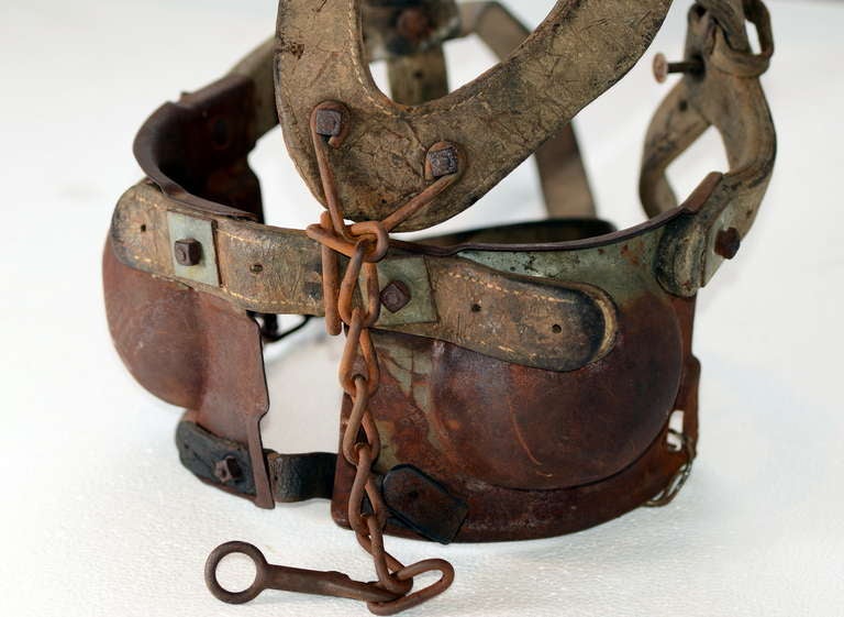 Leather Work Horse Blinders