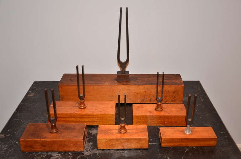 Graduated Tuning Forks Set
