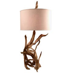 Iconic Driftwood Table Lamp