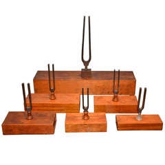 Graduated Tuning Forks Set
