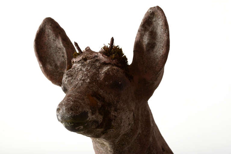 Concrete Deer in Repose