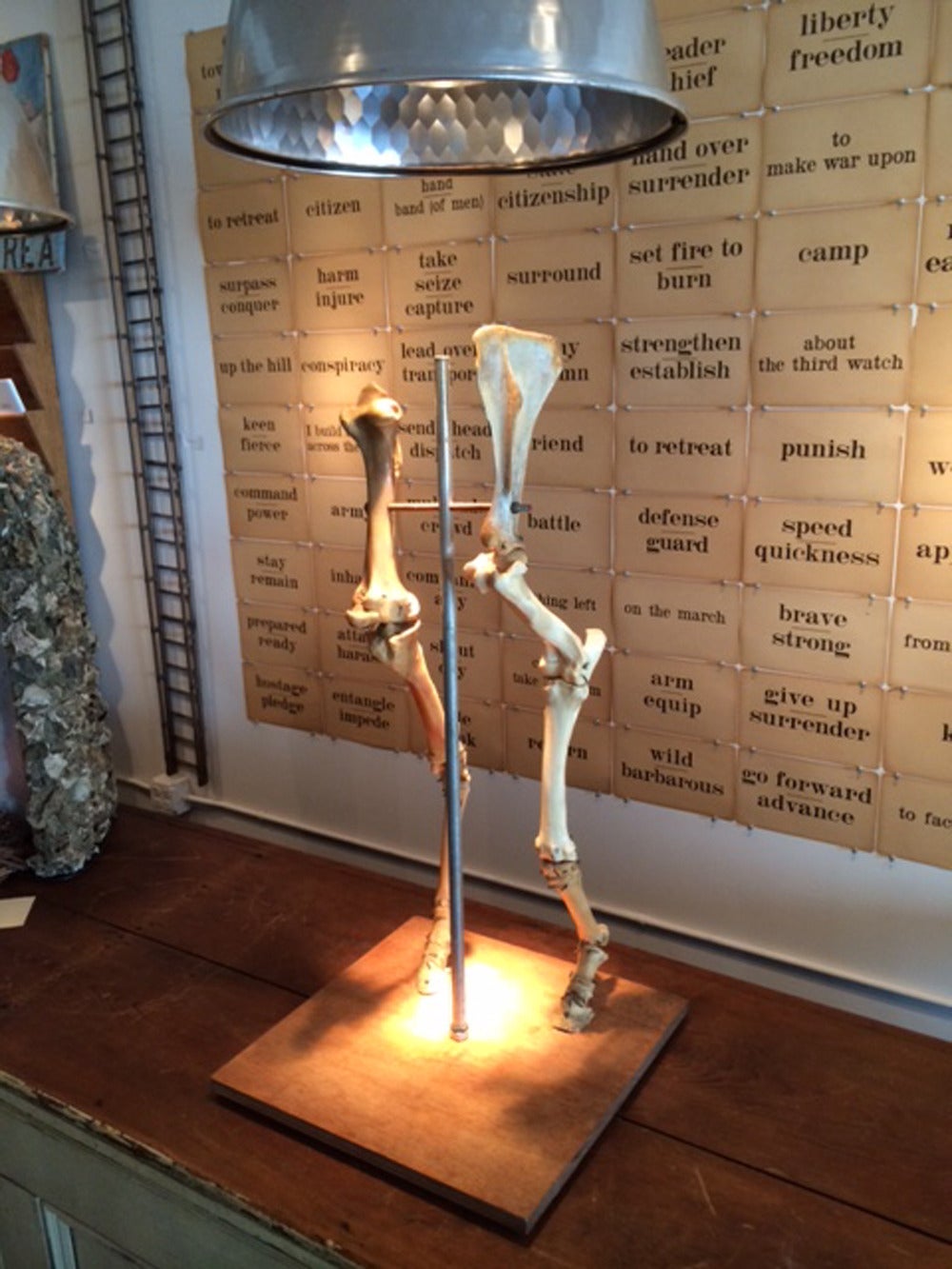 Dancing Bones Sculpture 1