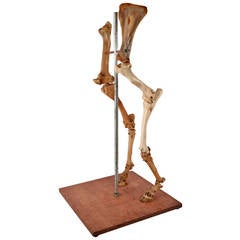 Antique Dancing Bones Sculpture