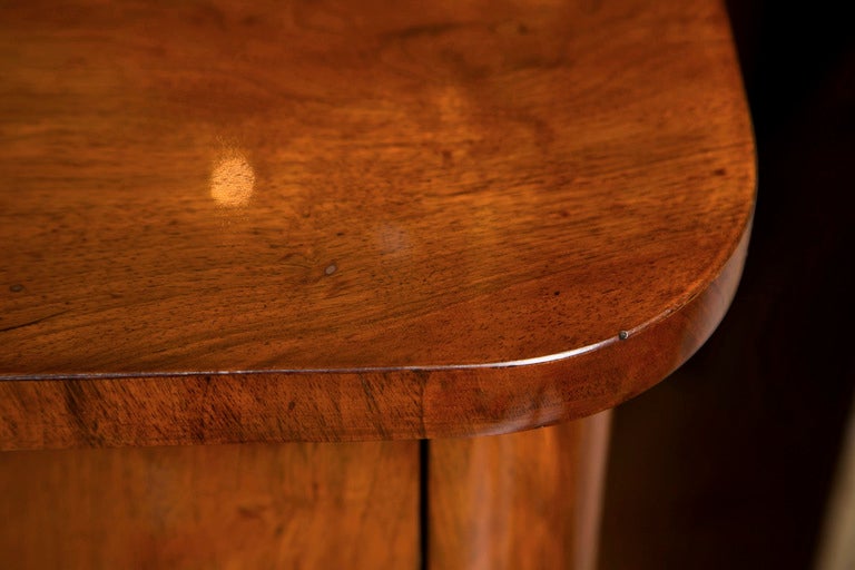 Fine Taller Biedermeier Chest 4