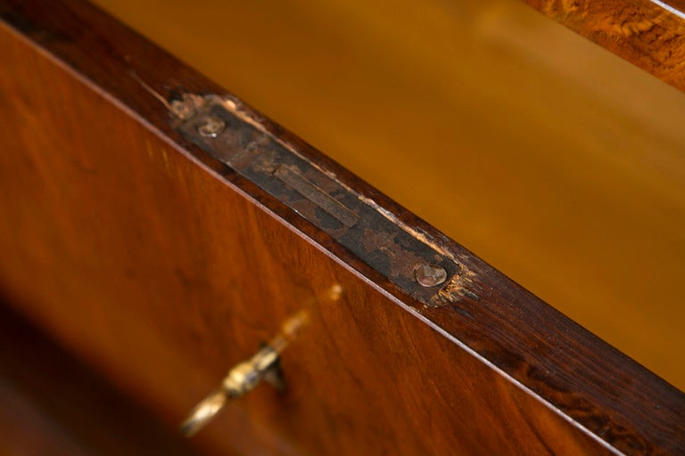 19th Century Fine Taller Biedermeier Chest