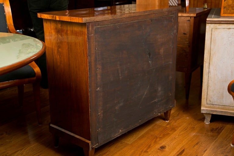 Fine Taller Biedermeier Chest 3