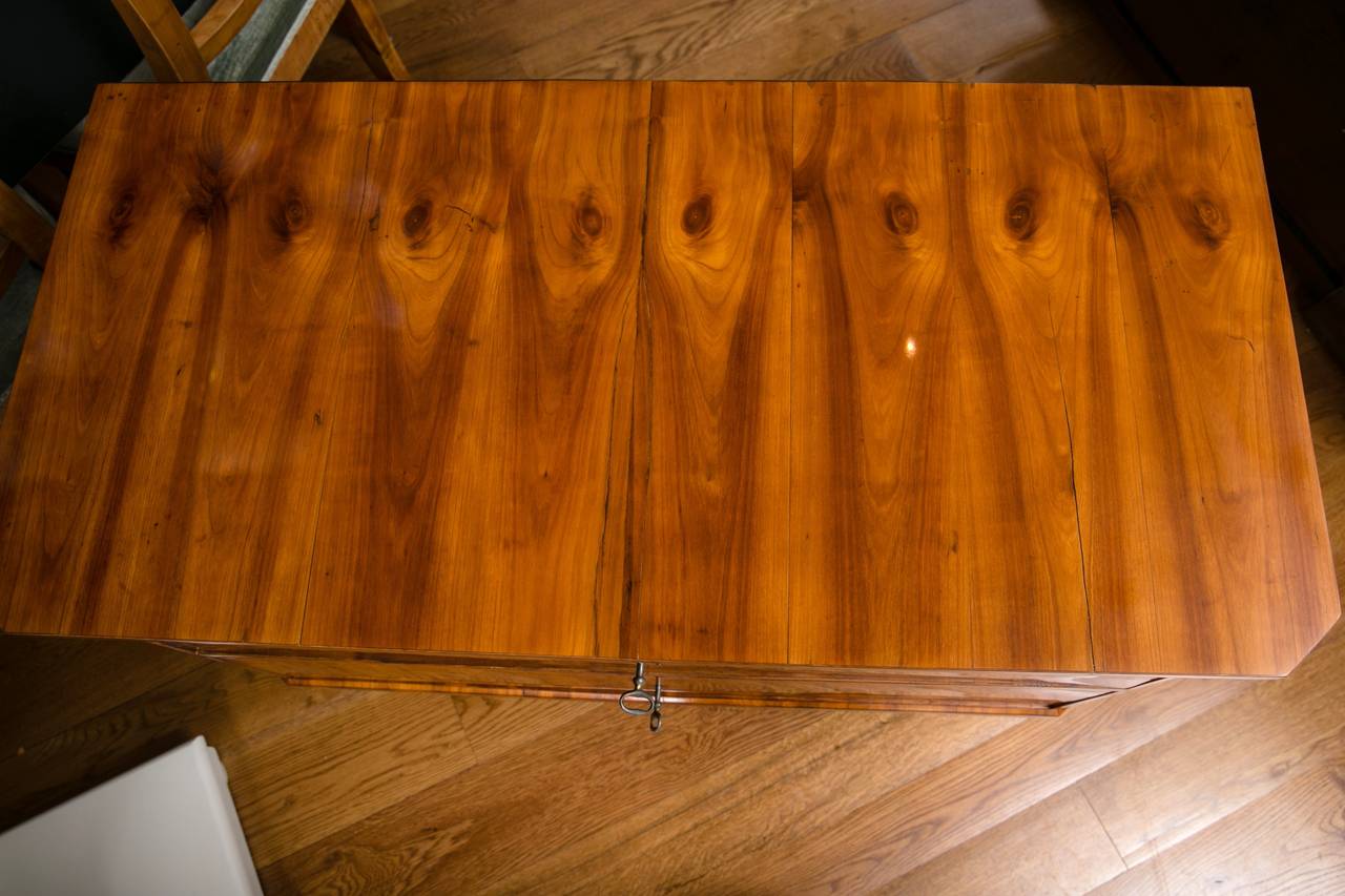 German Pair of Fine Biedermeier Chests in fruitwood