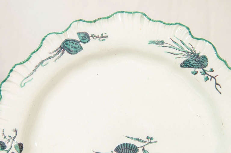 English Dozen 18th Century Wedgwood Creamware Dishes Decorated with Shells