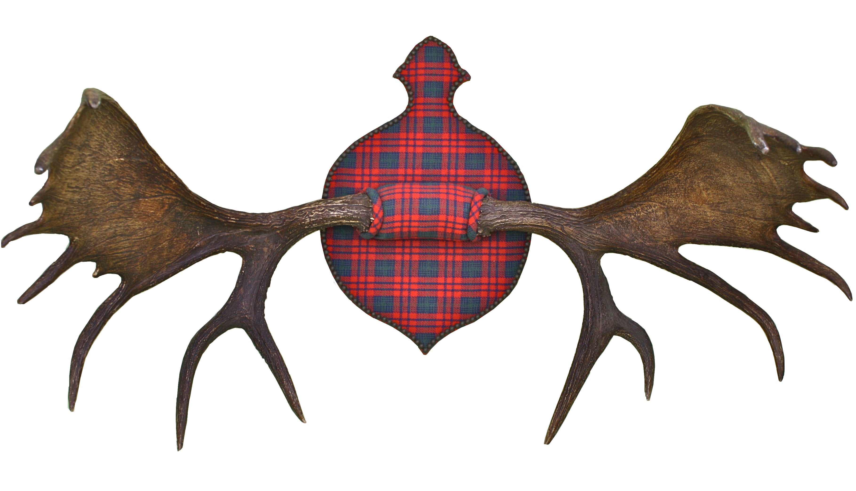 Moose Antler Sportsman's Trophy