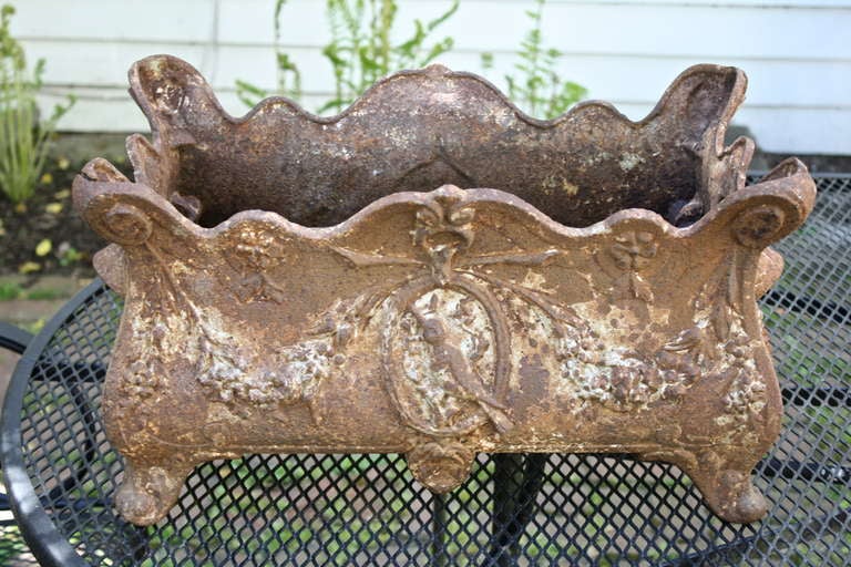 In French Rococo style with scroll feet, oval bird plaques and floral sprays;  a single timeworn weathered planter.  Lengthy enough for two or three small clay pots or a suitable single conforming rectangular liner.  If properly treated and sealed