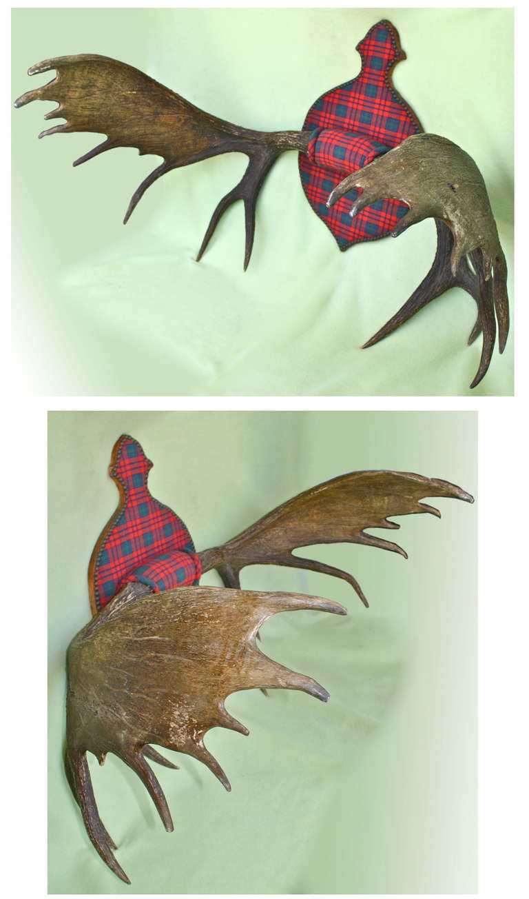 A full rack of moose antlers on a tartan plaid covered plaque; as a wall mounted sportsman's trophy.  First dated November 26, 1923 and further inscribed in 1969.  The rack spans 52