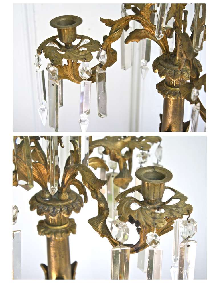 PAIR Boston Classical H. N. Hooper Ormolu Candelabra In Good Condition For Sale In Woodbury, CT