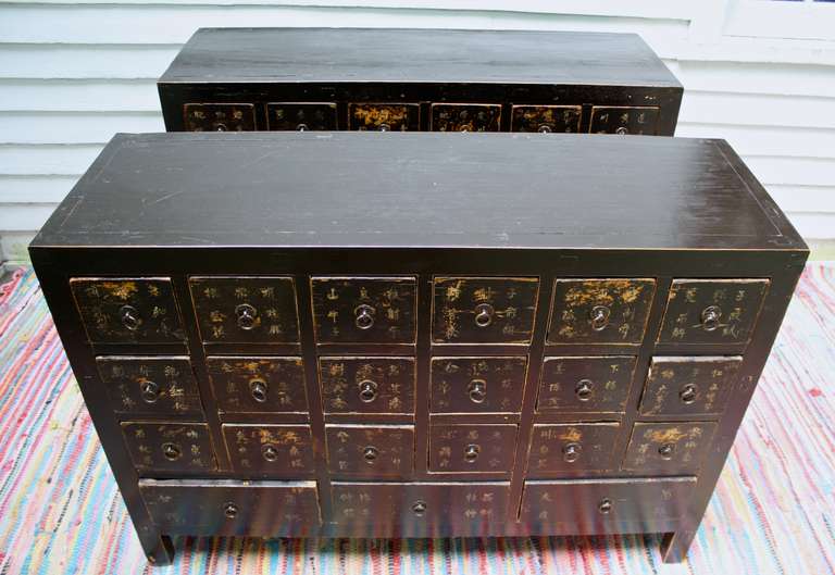 PAIR of Chinese Jiangxi Province Apothecary Chests 1