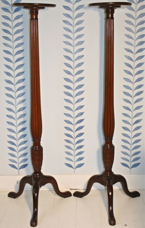 Pair of massive Sheraton manner carved mahogany tripod plant or porcelain stands; each with a moulded circular tier, on top of a reeded, ring turned and foliate carved standard.  Tripod cabriole legs ending in padded snake feet.  Scaled to safely