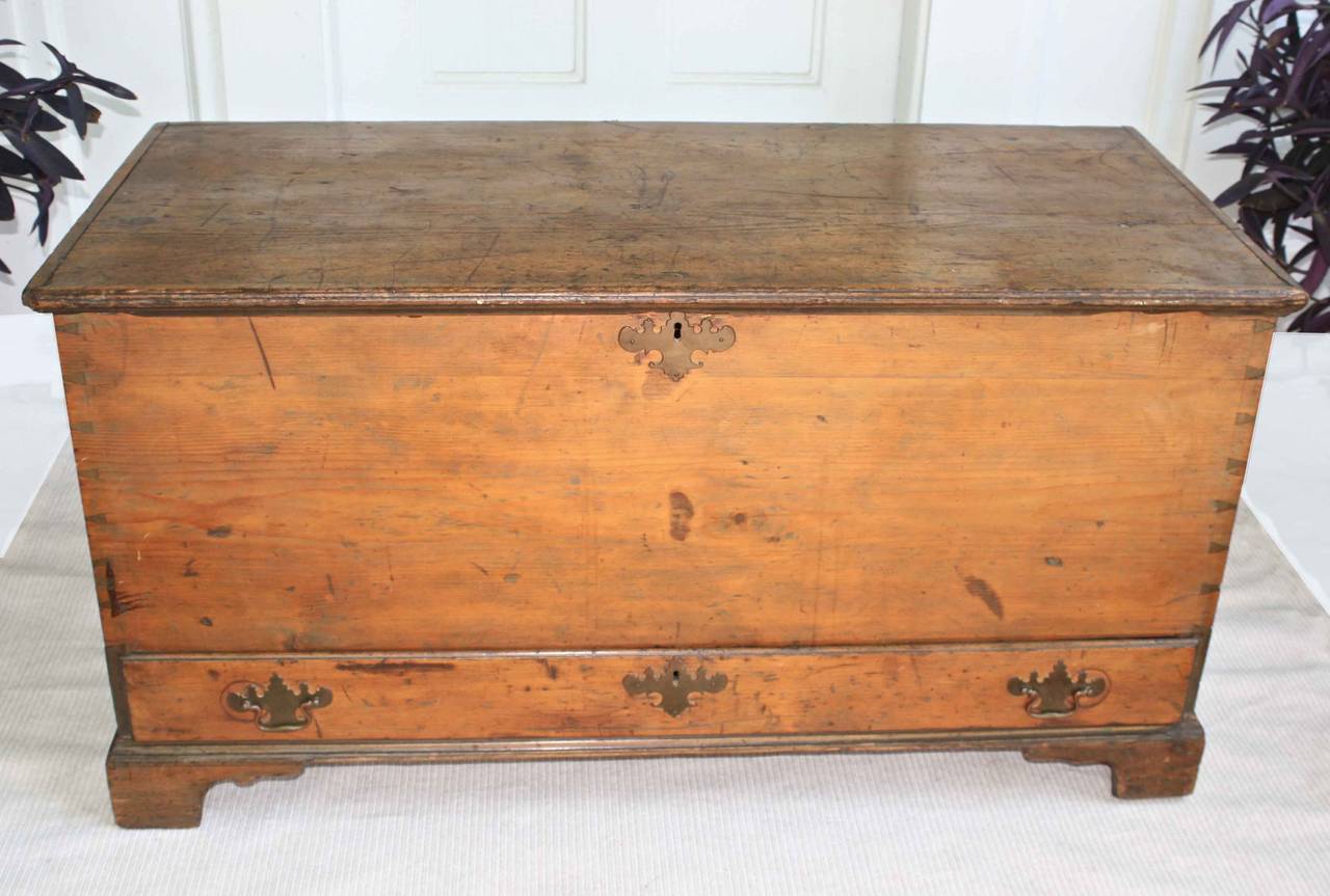 A Middle Atlantic dovetailed pine blanket chest or coffer with a single base drawer, raised on Chippendale manner shallow bracket feet; likely of Pennsylvania or possibly Shenandoah Valley origin.  The brass baled pulls and escutcheons were often
