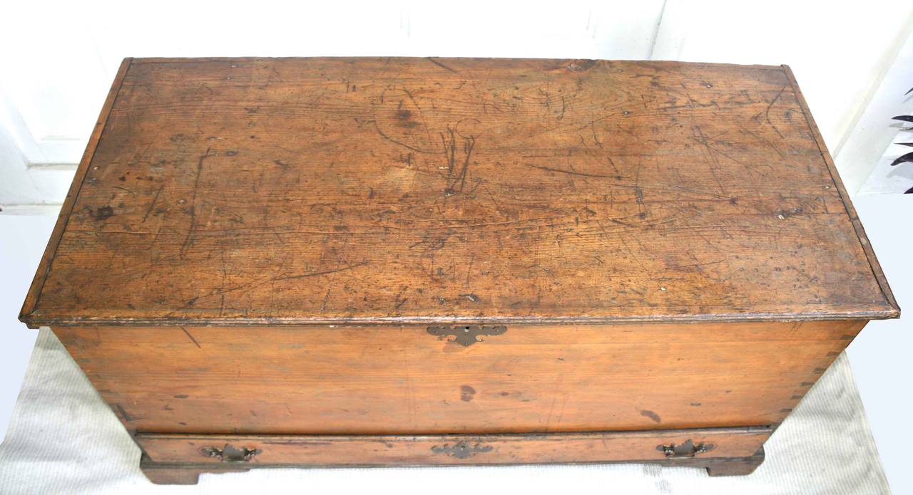 American Colonial American Dovetailed Pine Blanket Chest with Drawer For Sale