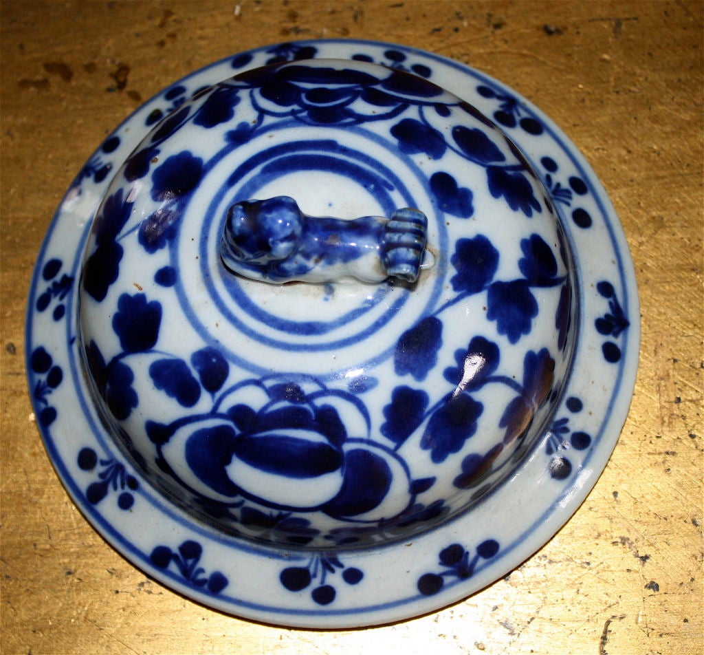 19th Century Chinese Export Blue & White Flowered Vine Baluster Jar