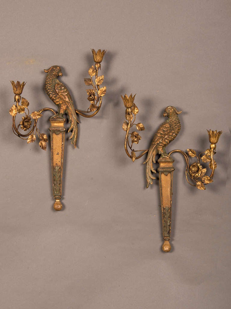 Receive our new selections direct from 1stdibs by email each week. Please click Follow Dealer below and see them first!

A pair of French Bagues style sconces of carved and gilded wood each featuring a parrot flanked by two scrolled arms adorned