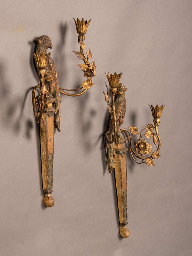 Pair of French Bagues Style Carved and Gilded Wood Parrot Sconces circa 1920 In Excellent Condition In Houston, TX