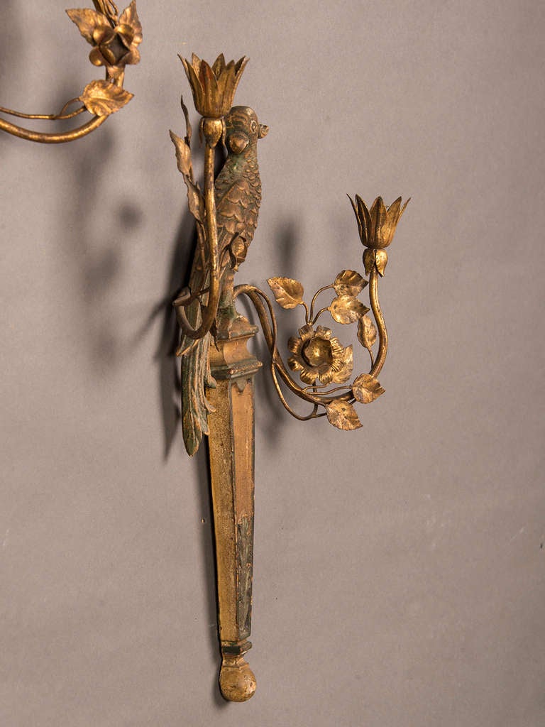 Pair of French Bagues Style Carved and Gilded Wood Parrot Sconces circa 1920 1