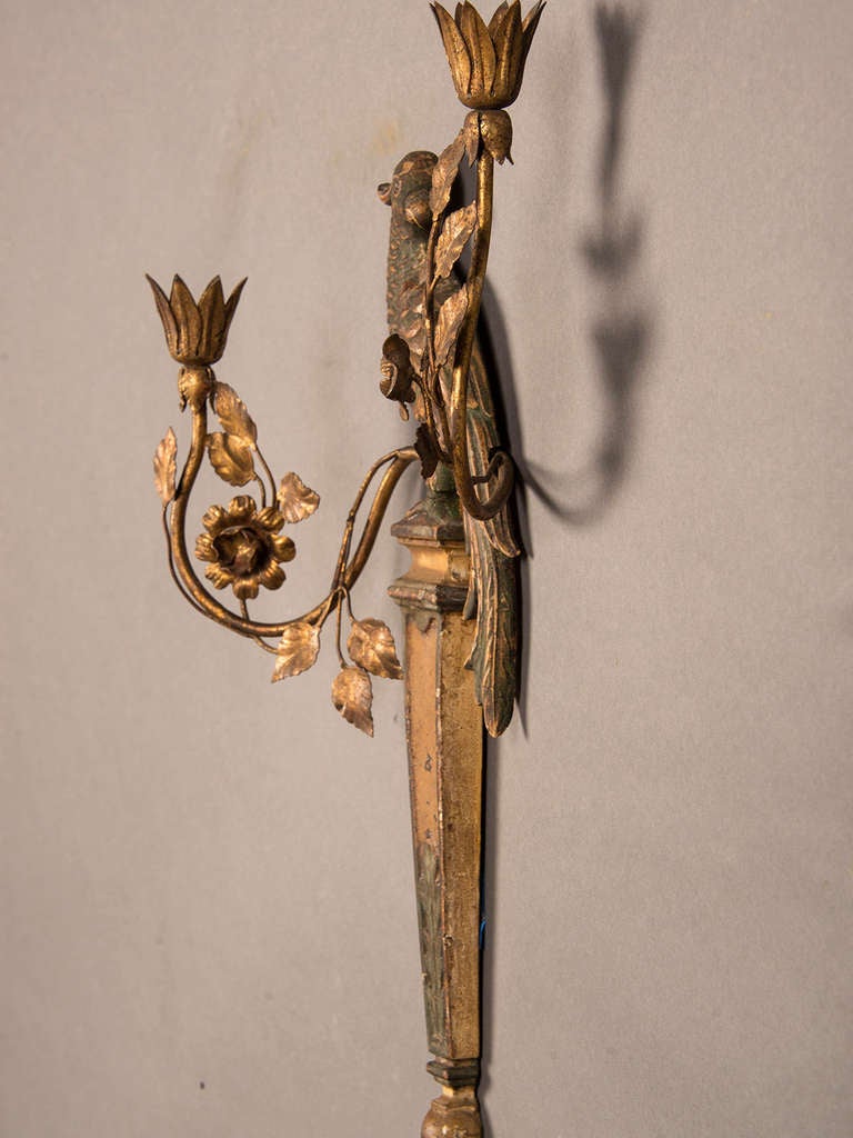 Pair of French Bagues Style Carved and Gilded Wood Parrot Sconces circa 1920 3