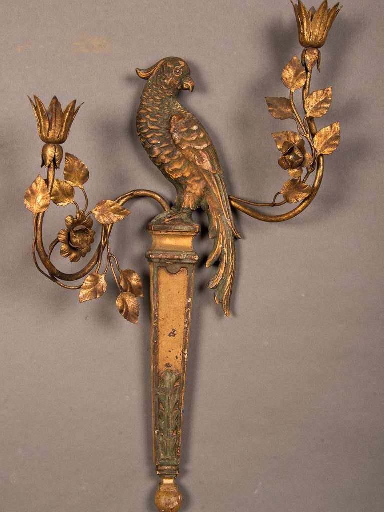 20th Century Pair of French Bagues Style Carved and Gilded Wood Parrot Sconces circa 1920