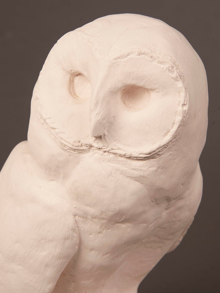 plaster owl