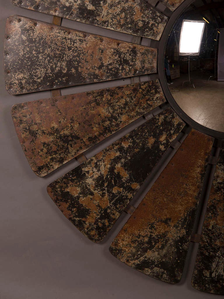 Contemporary Enormous Frame of Patinated Zinc Petals and a Convex Mirror from France