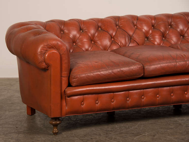 edwardian chesterfield sofa