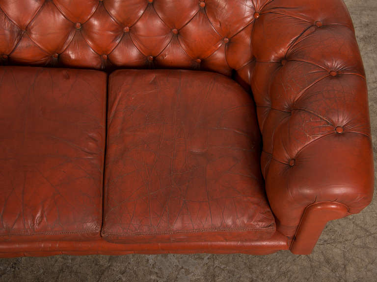 20th Century Edwardian Period Vintage English Chesterfield Leather Sofa circa 1910