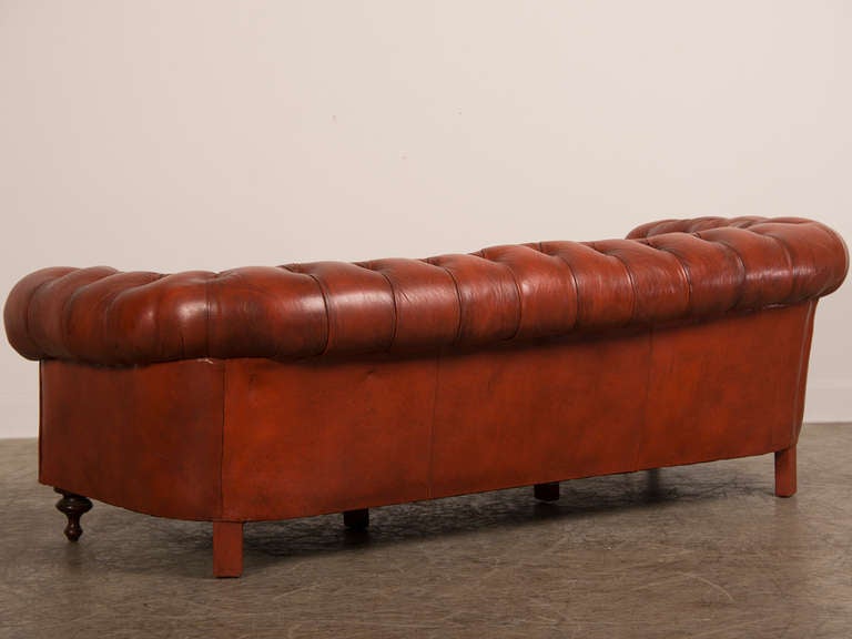 Edwardian Period Vintage English Chesterfield Leather Sofa circa 1910 2