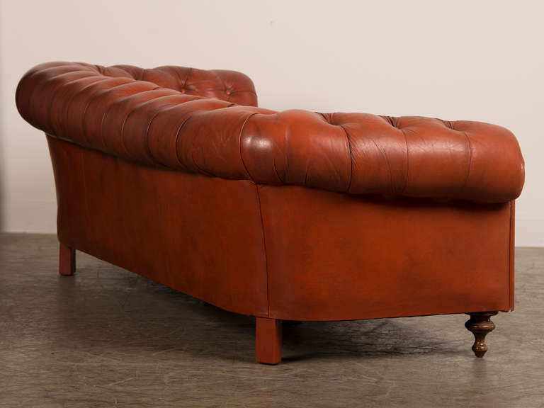 Edwardian Period Vintage English Chesterfield Leather Sofa circa 1910