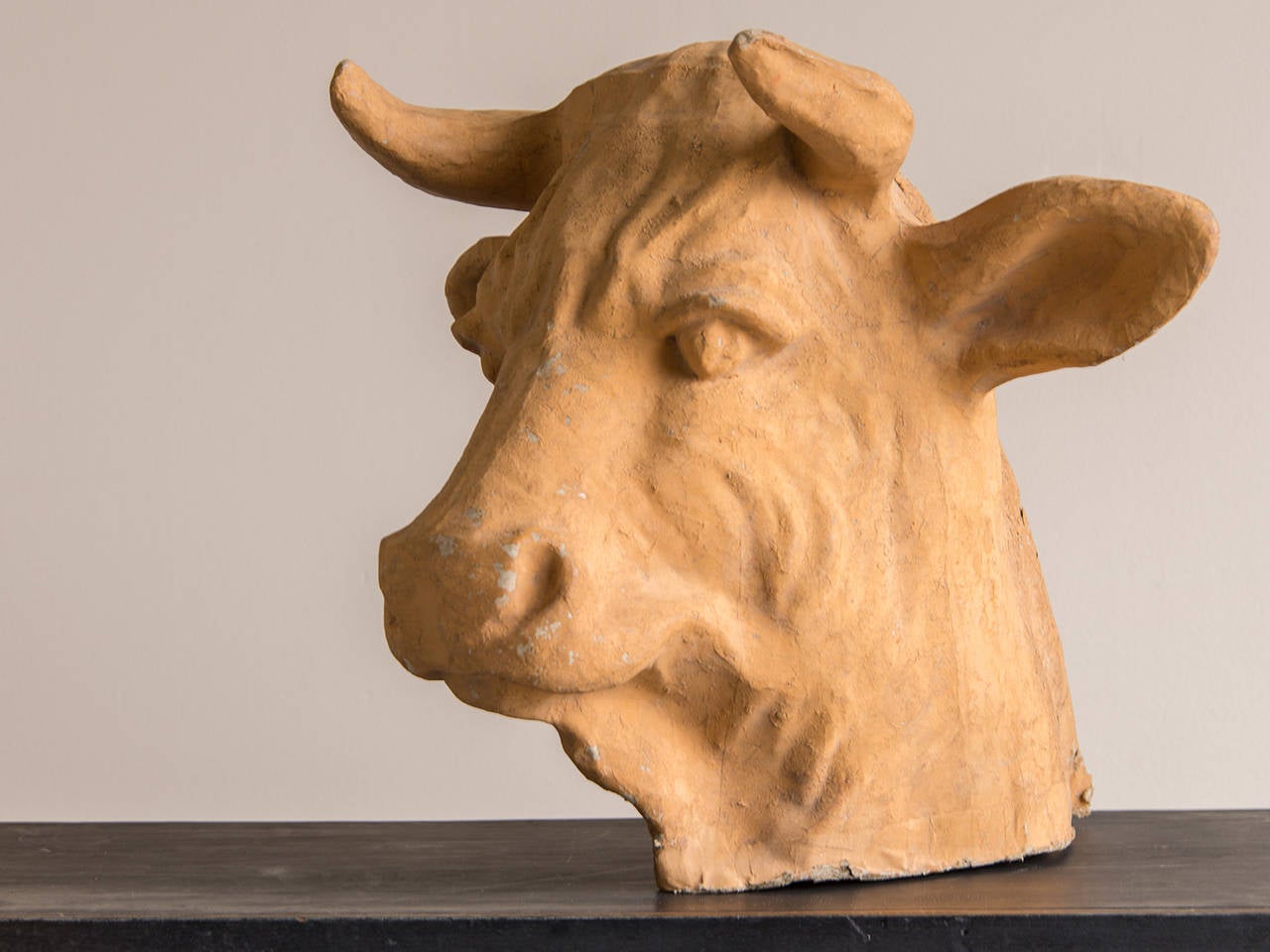 Receive our new selections direct from 1stdibs by email each week. Please click Follow Dealer below and see them first!

This exceptionally well modeled vintage French bull head circa 1920 has been finished with a terra cotta coloured pigment to