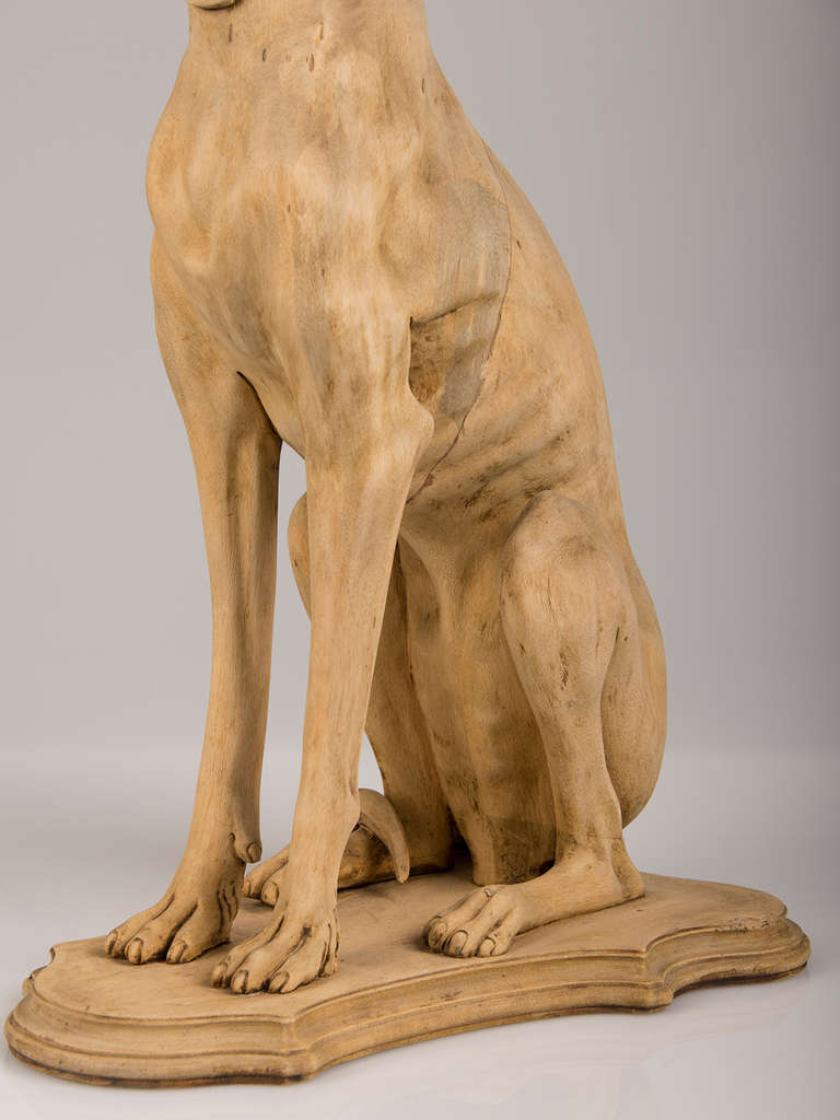 wooden greyhound sculpture