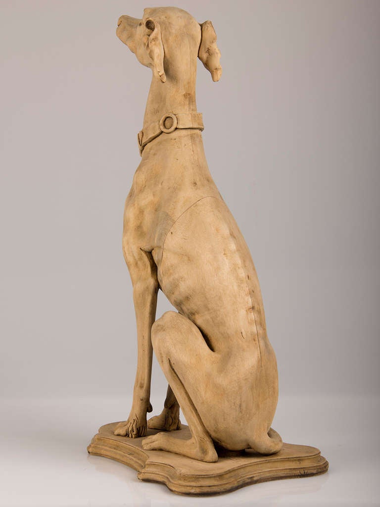 Antique English Life Size Carved Wood Greyhound circa 1890 In Excellent Condition For Sale In Houston, TX