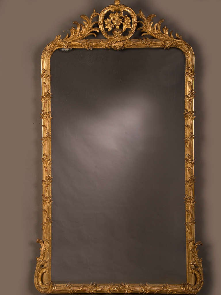 A fantastic gilded mirror frame with a naturalistic motif enclosing the original large mirror plate from France c.1885. The frame of this mirror resembles the branches of a tree as it ascends on both sides to form an open medallion at the top formed