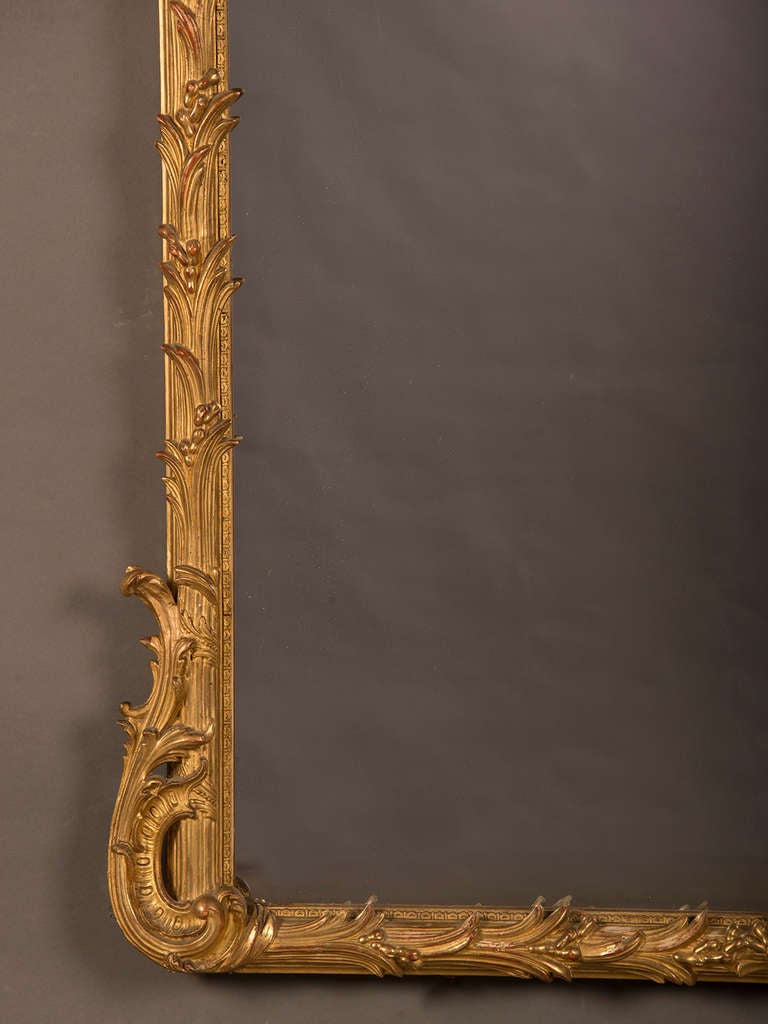 French Belle Epoque Period Gold Leaf Mirror Frame With a Palm Motif, France c.1885