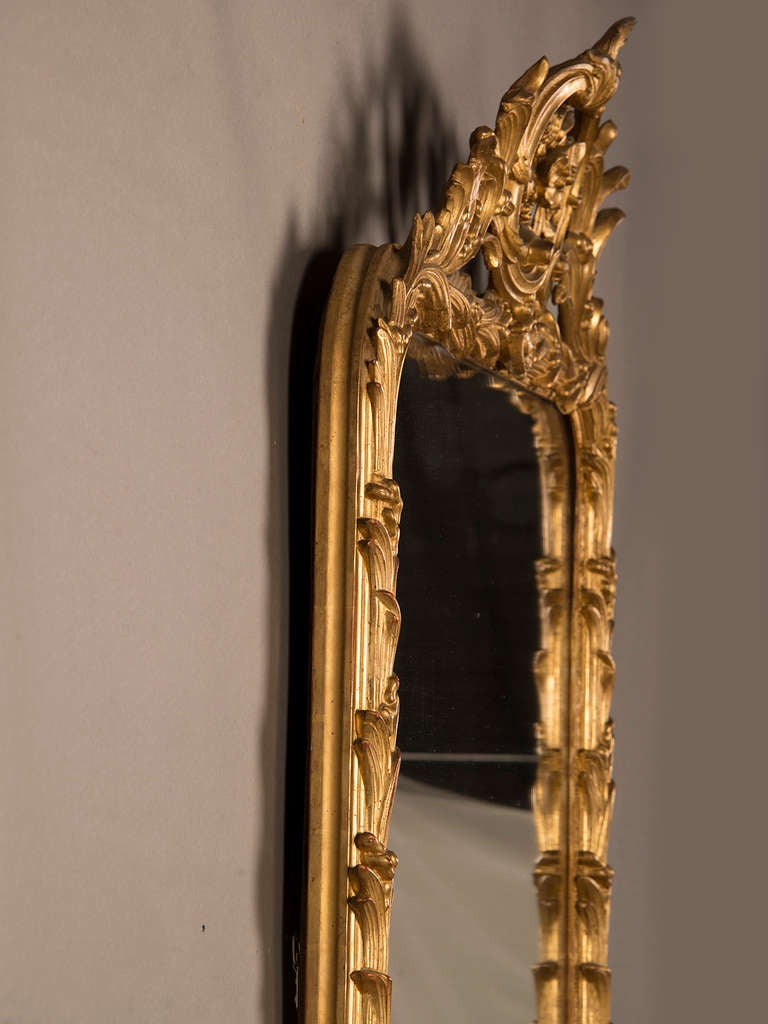 19th Century Belle Epoque Period Gold Leaf Mirror Frame With a Palm Motif, France c.1885