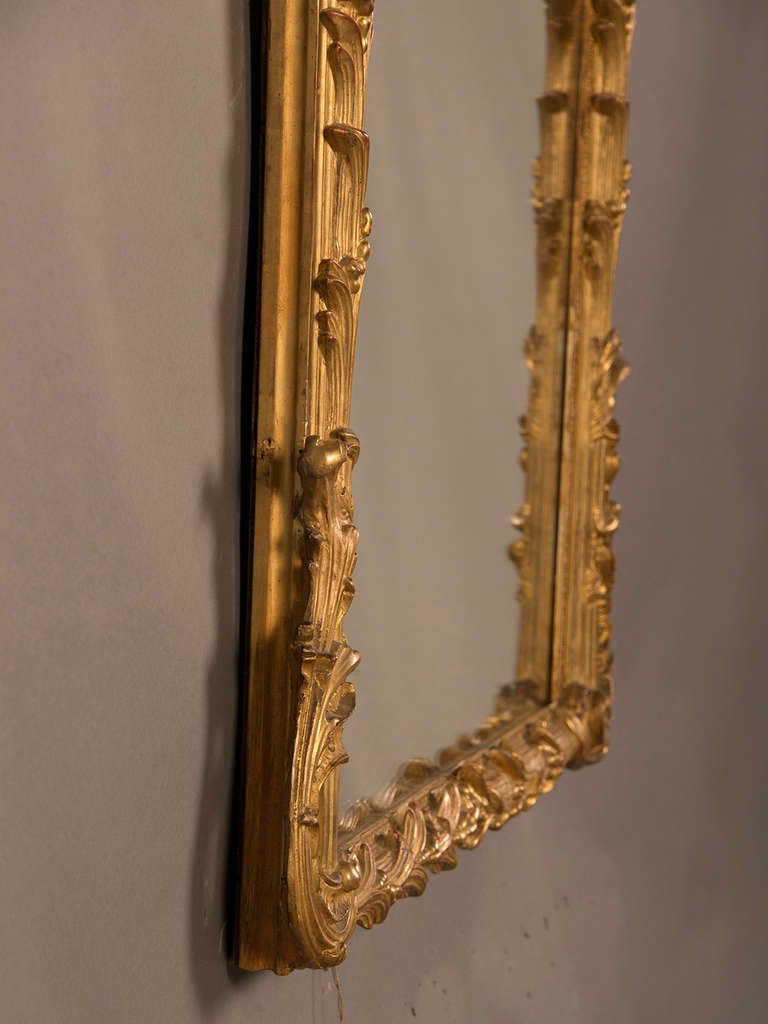 Belle Epoque Period Gold Leaf Mirror Frame With a Palm Motif, France c.1885 1