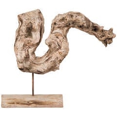 Weathered Tree Root from China Mounted on a Custom Display Stand