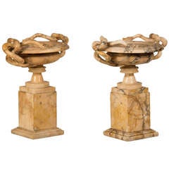 Pair of Antique Italian "Grand Tour" Marble Tazzas Featuring Serpents circa 1860