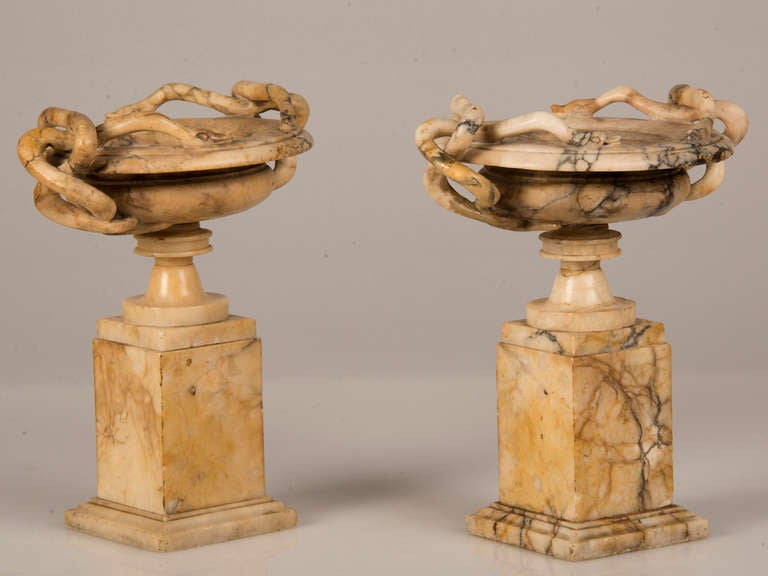 Pair of Antique Italian "Grand Tour" Marble Tazzas Featuring Serpents circa 1860