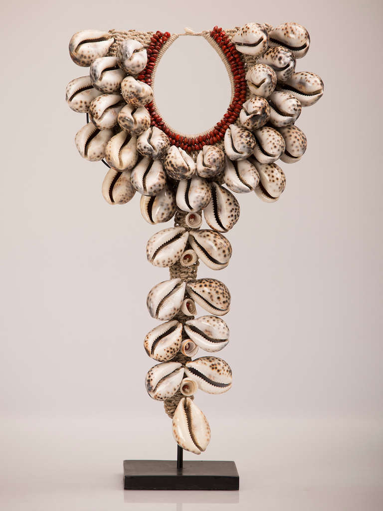 Grand Scale Cowrie Shell Necklace, Africa, Mounted on Custom Stand. This handsome African necklace has been created from a great quantity of large cowrie shells notable for their open slit detail and ability to be polished to a high sheen. West
