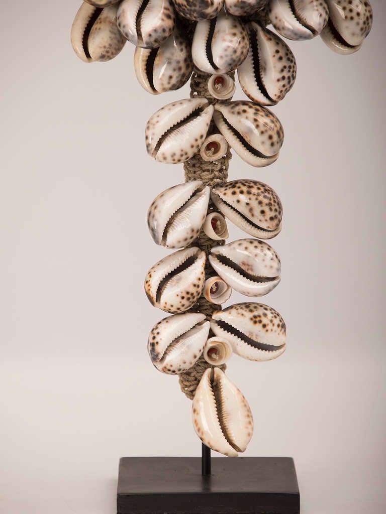 Grand Scale African, Cowrie Shell Necklace Mounted on a Custom Stand In Excellent Condition In Houston, TX