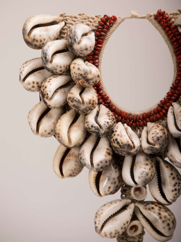 cowrie shell necklace on stand
