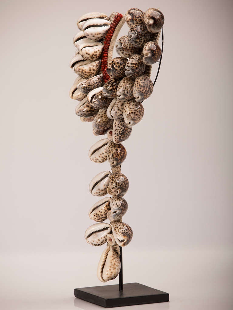 Contemporary Grand Scale African, Cowrie Shell Necklace Mounted on a Custom Stand